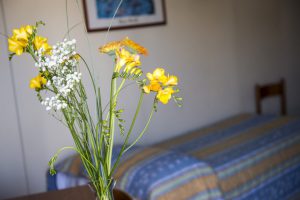 tripla-hotel-gabbiano