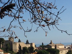 scorcio-porto-san-giorgio